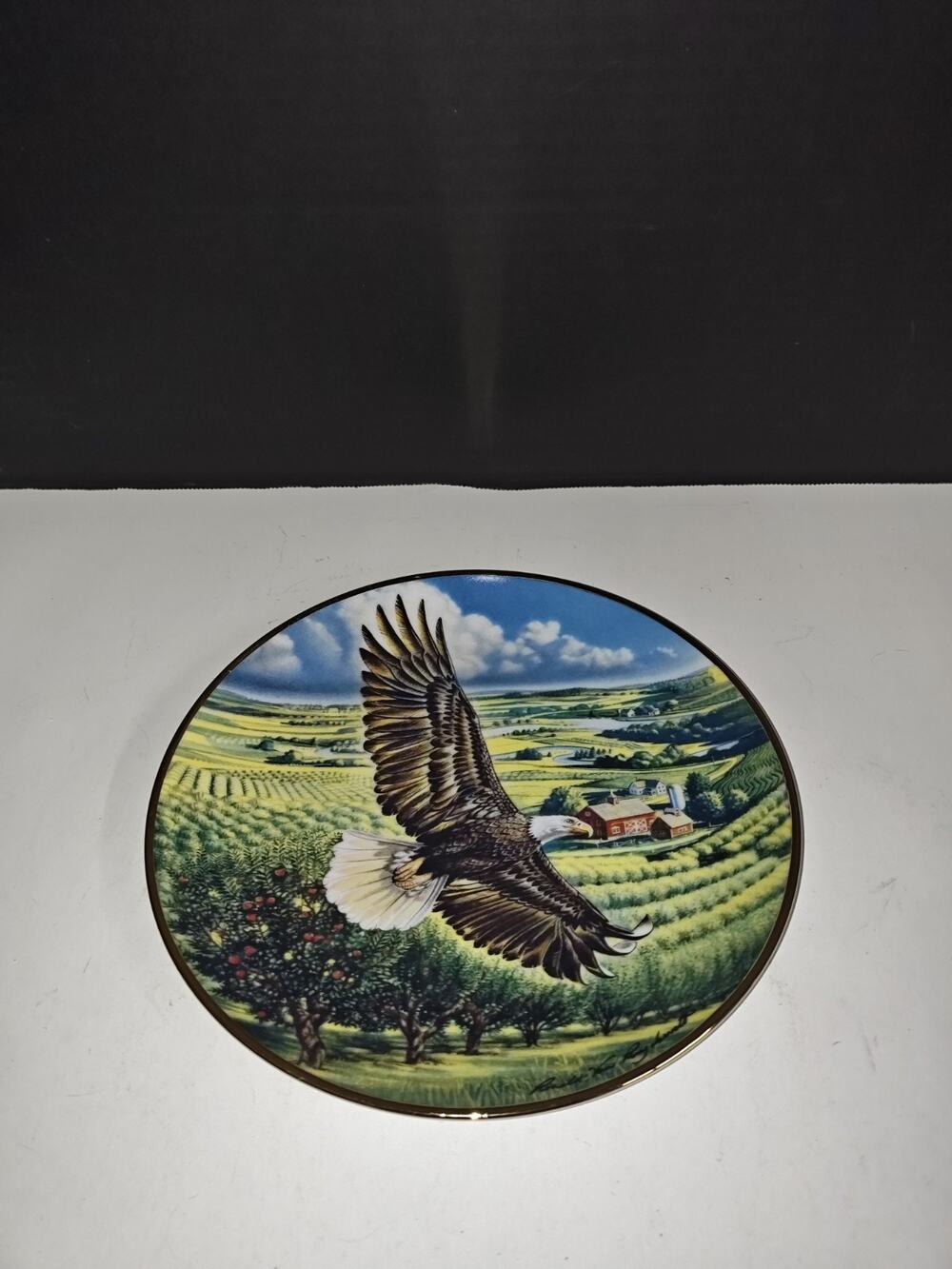 Franklin Mint Heirloom Above The Fruited Plains American USA Bald Eagle Plate